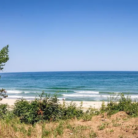 - - електрон универс