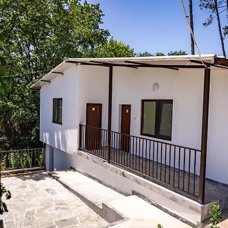 Camping - - електрон универс *