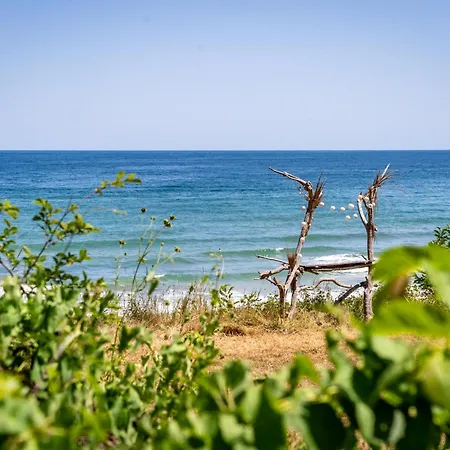 - - електрон универс * Kamchia (Varna)