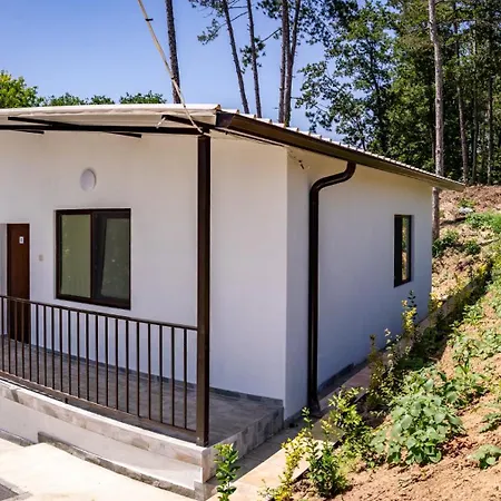 Campingplads - - електрон универс *