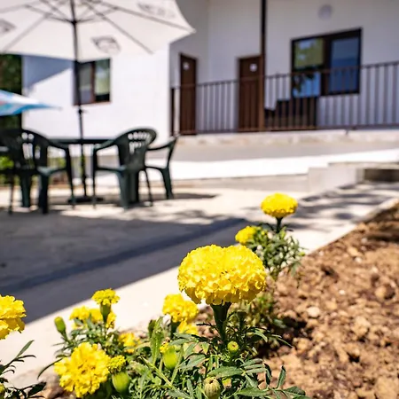 Campingplatz 