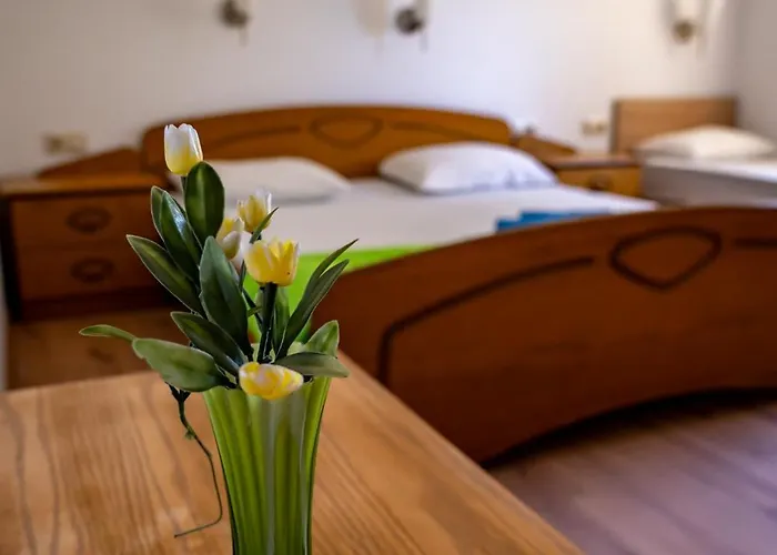 Кемпинг Бунгала - Камчия - Електрон Универс Камчия