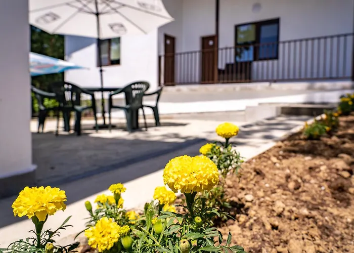 Кемпинг Бунгала - Камчия - Електрон Универс